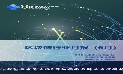 tp钱包丢币怎么办？详细指南与解决方案解析