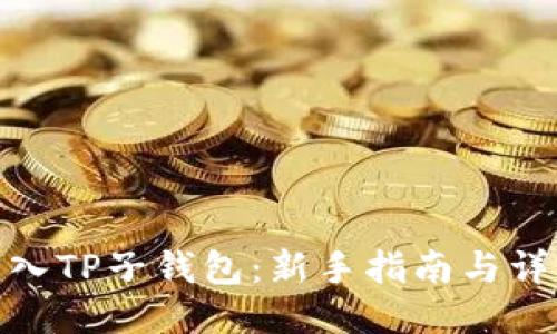 如何导入TP子钱包：新手指南与详细步骤